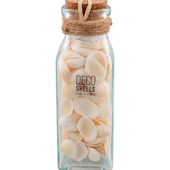 Schelpen In Glazen Fles