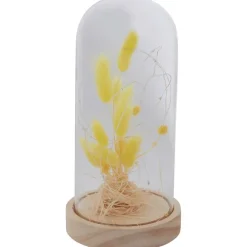 Stolp Met Droogbloemen En Licht