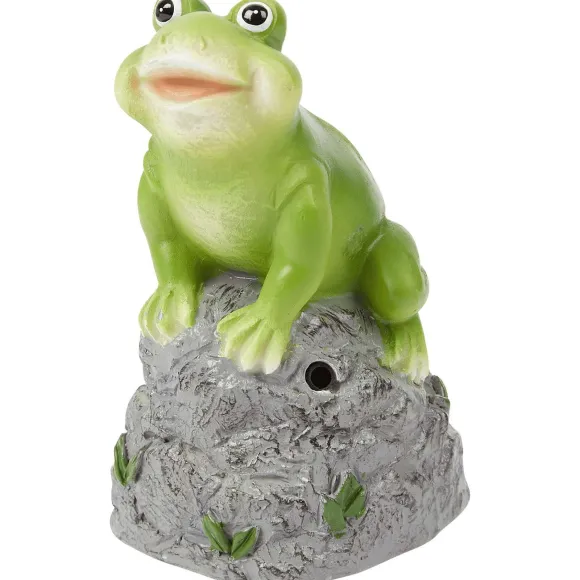 Tuinbeeld Met Geluid